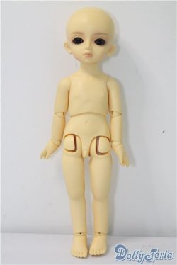 画像5: 幼SD/ピッコロ U-24-11-12-209-TN-ZU