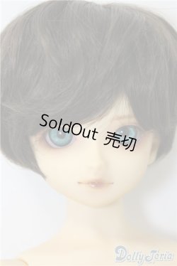 画像1: SDB/教室Bヘッド U-24-11-12-211-TN-ZU