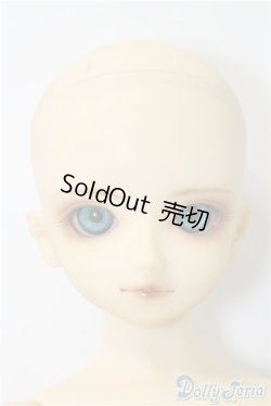 画像2: SDB/教室Bヘッド U-24-11-12-211-TN-ZU