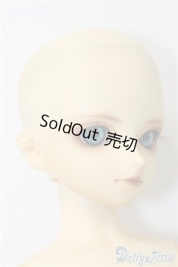 画像3: SDB/教室Bヘッド U-24-11-12-211-TN-ZU