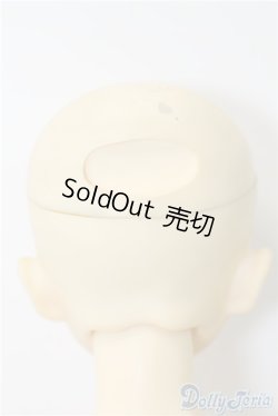 画像5: SDB/教室Bヘッド U-24-11-12-211-TN-ZU