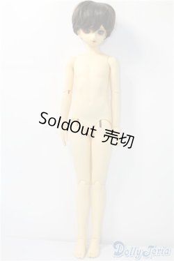 画像6: SDB/教室Bヘッド U-24-11-12-211-TN-ZU