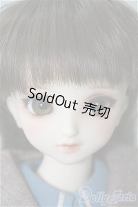 SDM/コーディネートF-40 U-24-11-19-217-TN-ZU