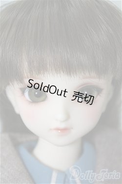 画像1: SDM/コーディネートF-40 U-24-11-19-217-TN-ZU