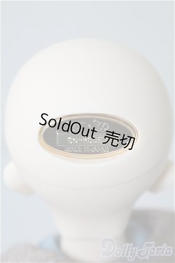 画像5: SDM/コーディネートF-40 U-24-11-19-217-TN-ZU