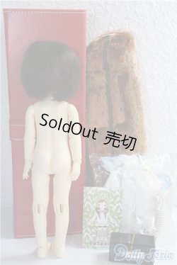 画像6: MUDOLL/dotories Jules A-24-12-18-1088-TN-ZA