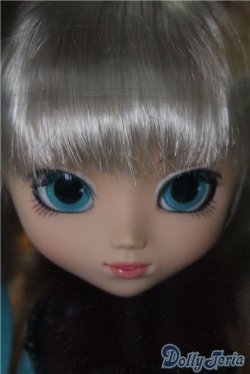 画像1: プーリップ／オート A-24-12-25-1079-TN-ZA