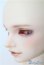 画像3: SD17BOY/マクシミリアン:星間学寮Ver. U-24-12-10-219-TN-ZU
