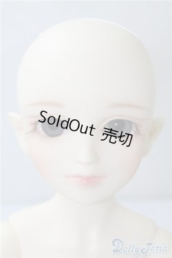 画像1: SD女の子/フルチョイスF-19 U-24-12-24-196-TN-ZU