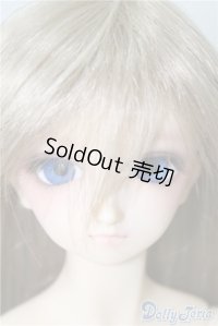 SD13女の子/ワンオフシルビーvalico様 U-24-12-17-215-TN-ZU