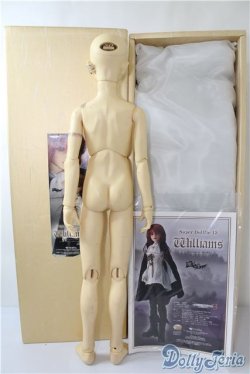 画像6: SD13男の子/ウィリアムズ U-24-12-31-213-TN-ZU