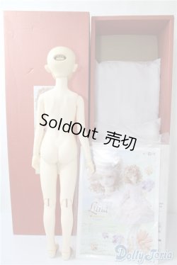 画像6: SD女の子/ルナ U-24-12-31-216-TN-ZU