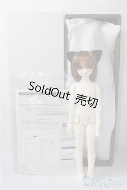 画像6: SDM/フルチョイスF-58 U-25-01-14-213-TN-ZU