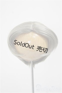 画像1: 9-10inch/ウィッグ/インチ　BJD　MJD　ドール用 A-25-06-25-385-TN-ZA