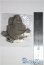画像2: オビツ11/OF:衣装 A-25-04-16-1055-TN-ZU (2)