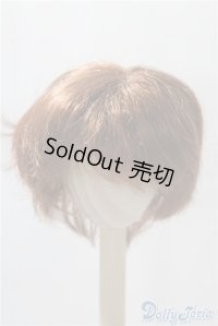 8-9inch/ウィッグ U-25-02-11-094-TN-ZU