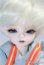 画像1: peakswoods/FOF RABBIT　goon A-25-02-12-1093-TN-ZA (1)