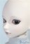 画像4: visuadoll/葵木空 A-25-02-12-1094-TN-ZU