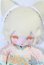 画像1: LUCKY DOLL YUNLAI点心シリーズ/本体 A-25-02-12-1079-KD-ZU (1)