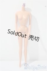 1/6ボディ A-25-02-19-1055-KD-ZU
