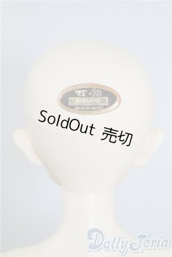 画像5: SD男の子　Cecile in the Boyhood Version　(セシル 〜少年期〜) U-25-02-18-216-KD-ZU