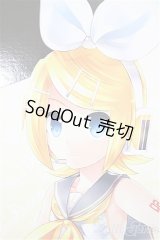 DDS/鏡音リンreboot/BJD　球体関節人形 A-25-02-19-249-TN-ZA