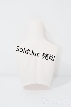 画像2: DDS上半身パーツ　セミホワイト A-25-02-26-1009-KD-ZU