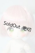 TinyFox/1/6 フルセット A-25-02-26-1029-KD-ZU