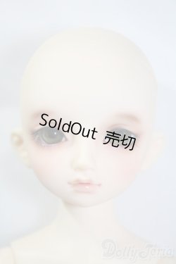 画像2: SDM/のあ:スタンダードモデル Y-25-02-25-219-TN-ZY