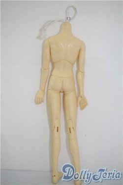 画像2: SD17BOY/ボディ U-25-03-04-205-TN-ZU