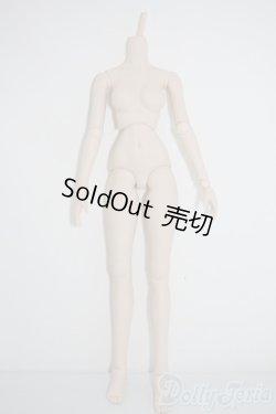画像1: DDS/ベースボディ A-25-02-26-1081-TN-ZU