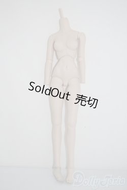 画像1: DDS/ベースボディIII A-25-02-26-1082-TN-ZU