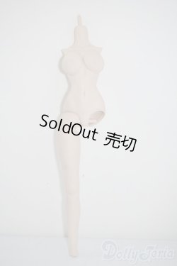 画像1: DDS/ベースボディ A-25-02-26-1084-TN-ZU