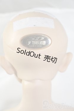 画像6: SD13男の子/F-17　フルチョイス U-25-02-25-216-TN-ZU