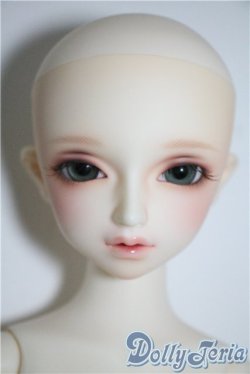 画像5: SDM/F-35：コーディネートモデル U-25-03-04-210-TN-ZU