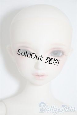 画像5: SDM/F-35：コーディネートモデル U-25-03-04-210-TN-ZU