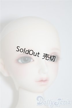 画像6: SDM/F-35：コーディネートモデル U-25-03-04-210-TN-ZU