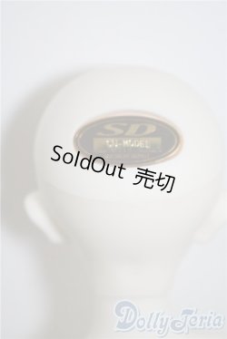 画像8: SDM/F-35：コーディネートモデル U-25-03-04-210-TN-ZU