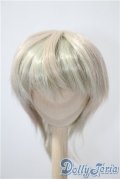 9-10inch/ウィッグ U-25-03-11-069-TN-ZU