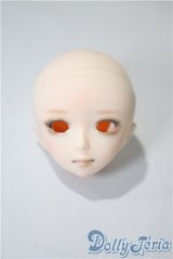 PARABOX/	彩色ヘッド A-25-03-12-1055-TN-ZU