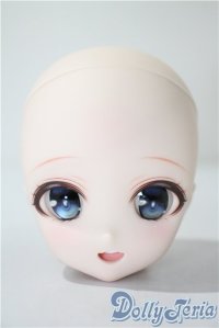 DD/DDH-27　カスタムヘッド A-25-05-21-1093-TN-ZU