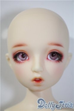 画像1: SDM/フルチョイスF-43 U-25-03-18-203-TN-ZU
