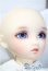 画像6: Dear　SD/キラ　BABY, THE STARS SHINE BRIGHT U-25-03-18-215-KD-ZU