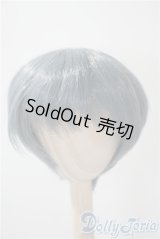 8-9inch/ウィッグ U-25-04-01-164-TN-ZU