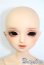 画像1: DearSD/レオ U-25-03-18-206-TN-ZU (1)