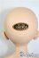 画像5: DearSD/レオ U-25-03-18-206-TN-ZU (5)