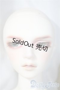 SDGｒ男の子/ウィリアムズ〜The Diligent Scholar〜 U-25-03-18-218-TN-ZU