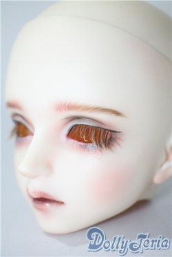 画像3: SDGrB/アダプションモデルF-58 U-25-03-25-215-TN-ZU