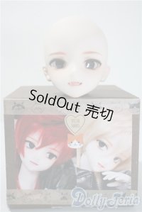 DDカスタムヘッド/DDH-09ストロベリータルト様 A-25-03-19-1017-TN-ZA
