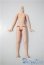 画像1: azone/ピュアニーモフレクションボディ：L女の子 A-25-03-26-1018-TN-ZU (1)